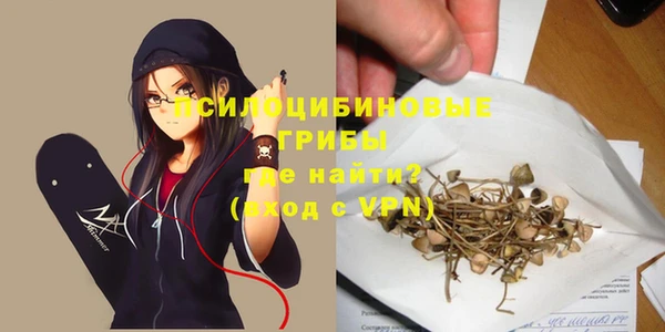 прущие крисы Арсеньев