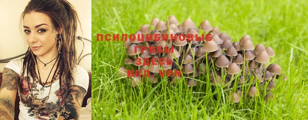 прущие крисы Арсеньев