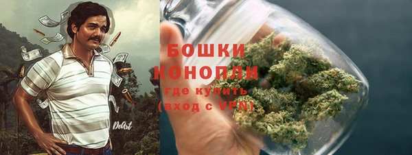 каннабис Аркадак